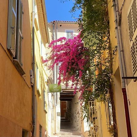 Appartement Palmiers, Coeur De Ville Sur Le Parcours Des Arts Hyères Exteriör bild